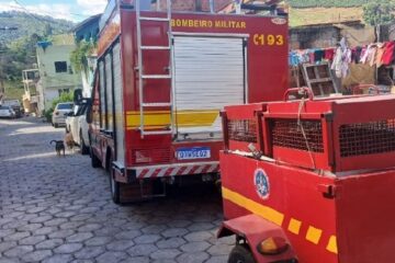 Cachorro da raça pitbull ataca criança de três anos em Manhuaçu