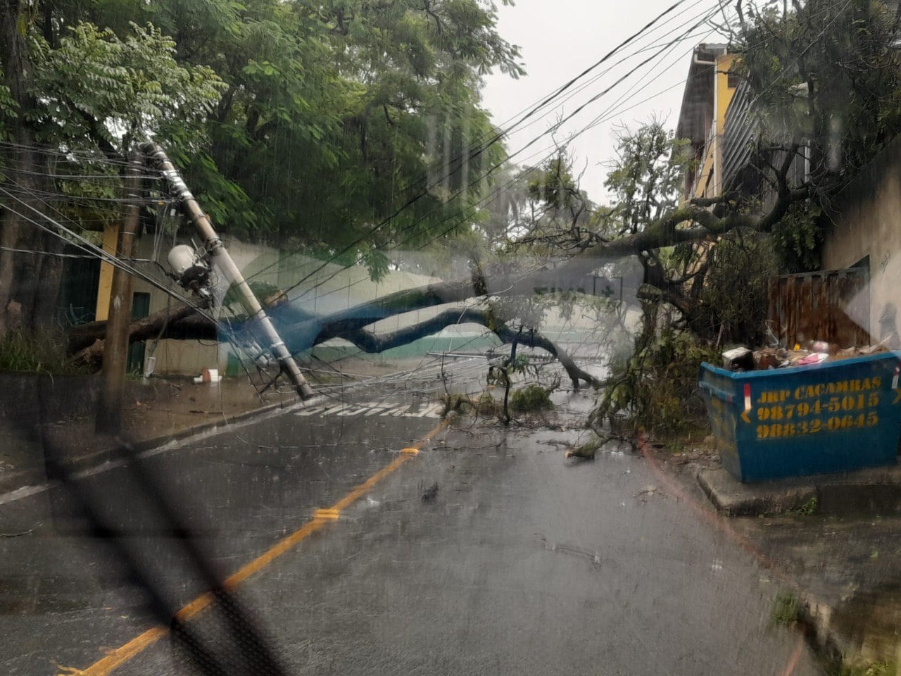 Queda de árvore durante chuva derruba três postes no bairro Juliana, em BH
