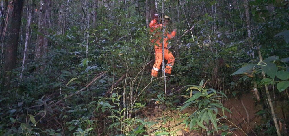 Criança autista de 4 anos desaparecida, é encontrada com vida na zona rural de Jeceaba
