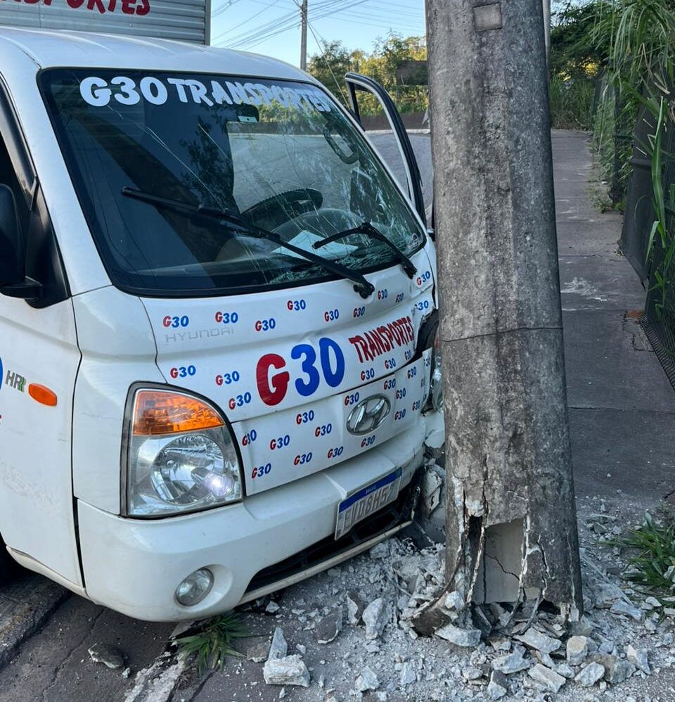 Motorista colide contra poste ao desviar de cachorro, em João Monlevade