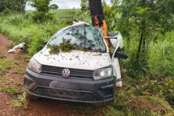 Motorista morre após carro capotar e atingir árvore na MG-413