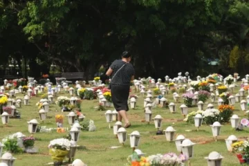 Tarcísio de Freitas sanciona lei permitindo sepultar cães e gatos em jazigos familiares