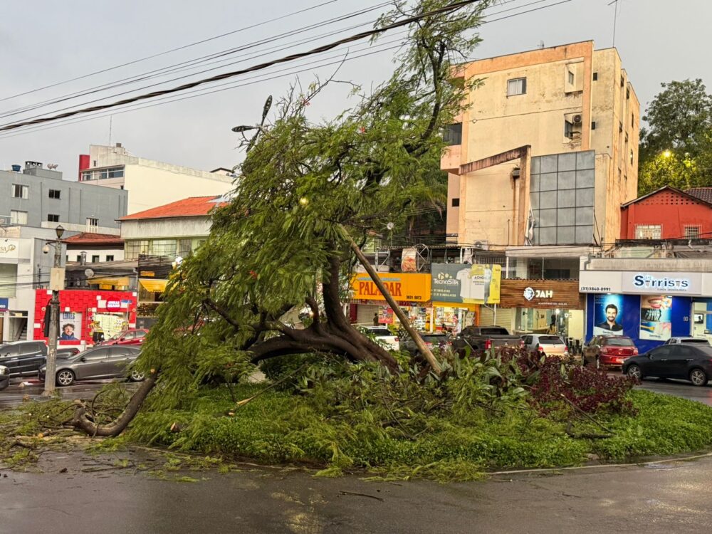 Chuva derruba árvore e poste na Praça Nico Rosa, em Itabira