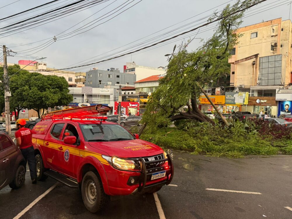 Chuva derruba árvore e poste na Praça Nico Rosa, em Itabira