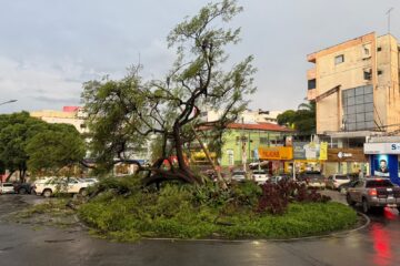 Chuva derruba árvore e poste na Praça Nico Rosa, em Itabira