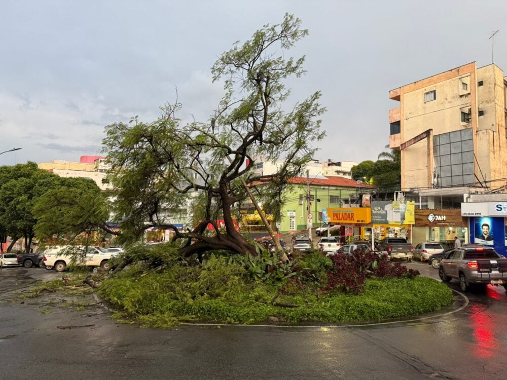 Chuva derruba árvore e poste na Praça Nico Rosa, em Itabira