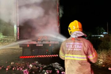 Incêndio atinge carreta carregada com produtos de higiene às margens da BR-381