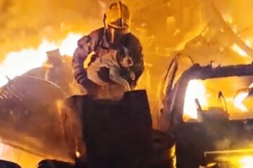 Bombeiros resgatam cadela durante incêndio de grandes proporções em depósito na BR-459