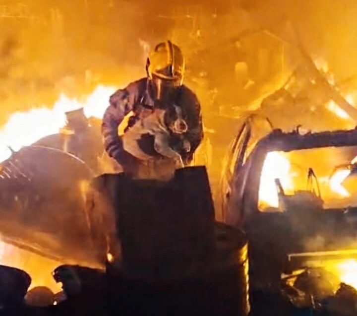 Bombeiros resgatam cadela durante incêndio de grandes proporções em depósito na BR-459