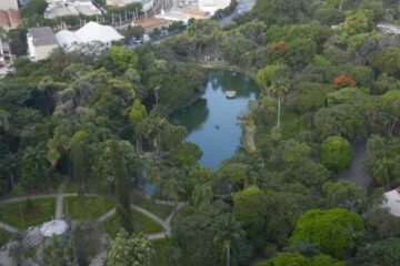 BH recebe pela terceira vez selo internacional “Cidade Árvore do Mundo”