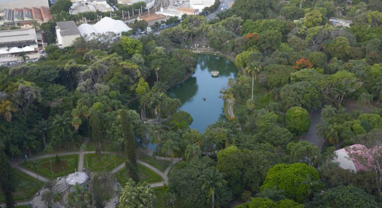 BH recebe pela terceira vez selo internacional “Cidade Árvore do Mundo”