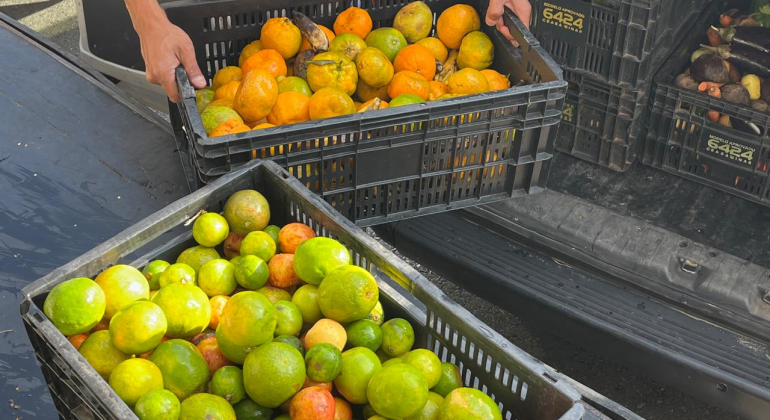 Conheça o Banco de Alimentos de BH e veja como instituições podem receber doações
