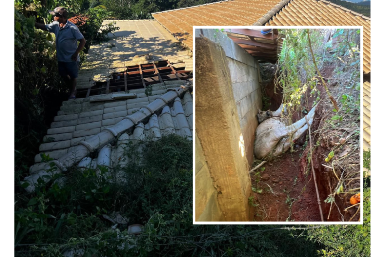 Boi sobe em telhado, estrutura cede e animal é resgatado pelos bombeiros em São Gonçalo