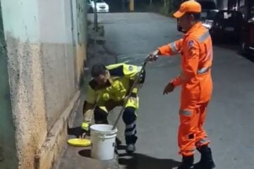 Cascavel é capturada pelos Bombeiros no bairro Alto Pereira, em Itabira