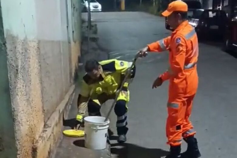 Cascavel é capturada pelos Bombeiros no bairro Alto Pereira, em Itabira