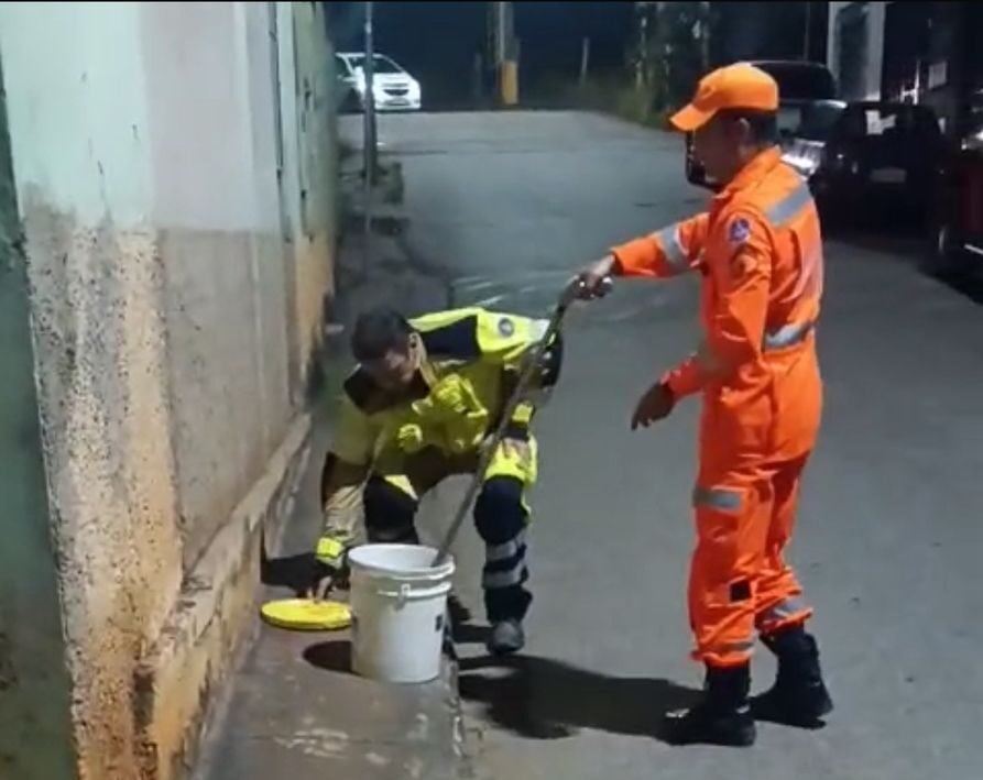 Cascavel é capturada pelos Bombeiros no bairro Alto Pereira, em Itabira