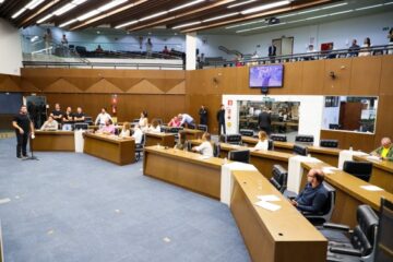 Câmara de BH endurece regras contra maus-tratos e abandono de animais