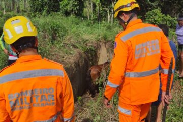 Bombeiros resgatam cavalo que caiu em bacia de contenção de água em Itabira