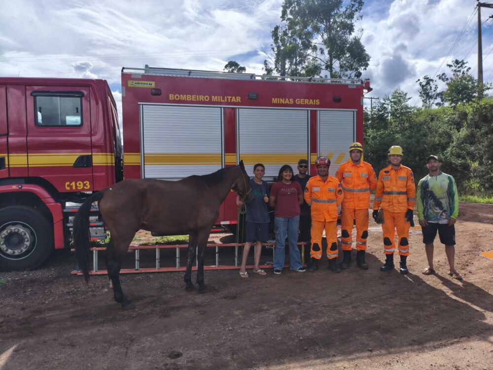 Bombeiros resgatam cavalo que caiu em bacia de contenção de água em Itabira