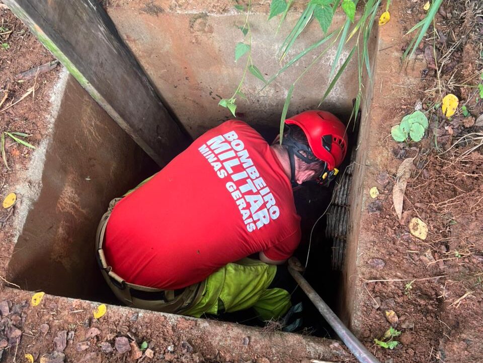 Bombeiros resgatam capivaras presas em estação de tratamento de esgoto em Itabira