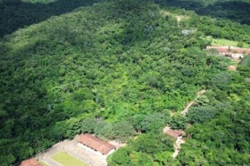 De quase carvão a patrimônio natural: a história do Parque Estadual Mata do Limoeiro