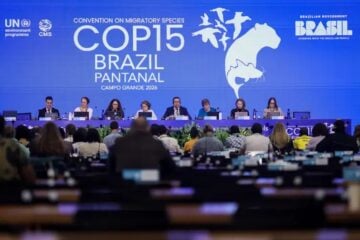 COP15 aprova maior proteção de bagres gigantes da Amazônia e ariranhas