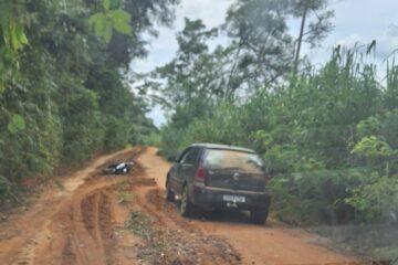 Ataque de abelhas deixa um morto e três feridos em estrada rural de Minas Gerais