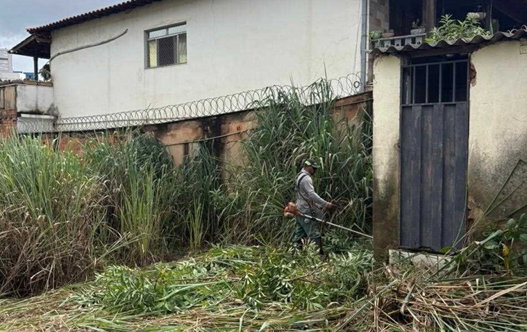 Proprietários que não limparem lotes em Itabira podem ser multados; saiba mais