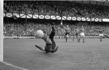 Top 8 melhores goleiros da história do futebol