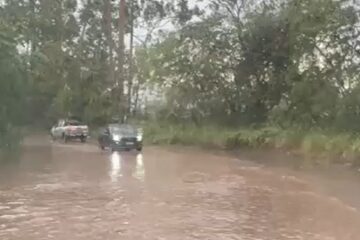 Temporal provoca pontos de alagamento e quedas de galhos de árvores na Estrada 105, em Itabira