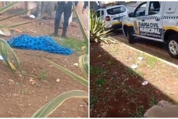 Guarda Municipal mata pitbull a tiros após suposto ataque na Lagoinha, em BH; versões divergem