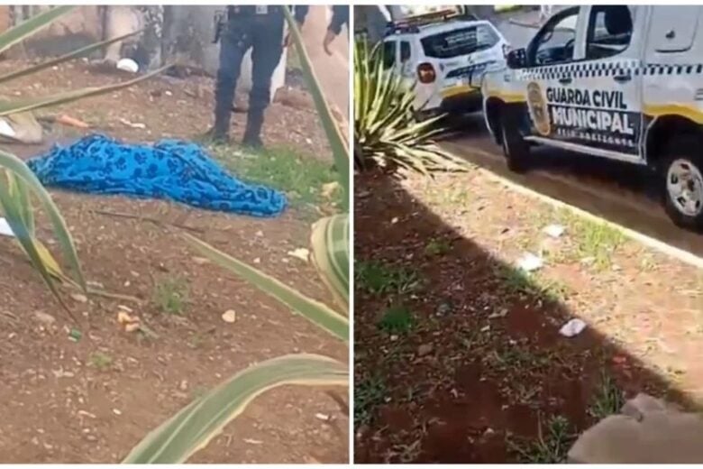 Guarda Municipal mata pitbull a tiros após suposto ataque na Lagoinha, em BH; versões divergem
