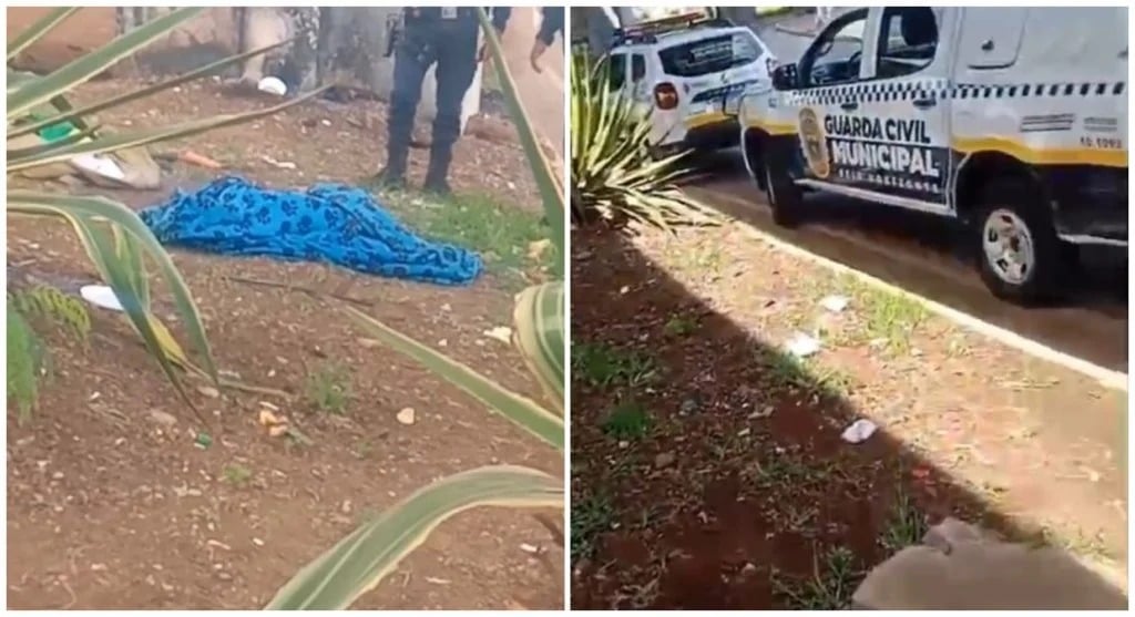Guarda Municipal mata pitbull a tiros após suposto ataque na Lagoinha, em BH; versões divergem