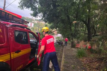 Bombeiros divulgam balanço após temporal em Itabira; queda de árvore sobre rede elétrica gerou risco de incêndio