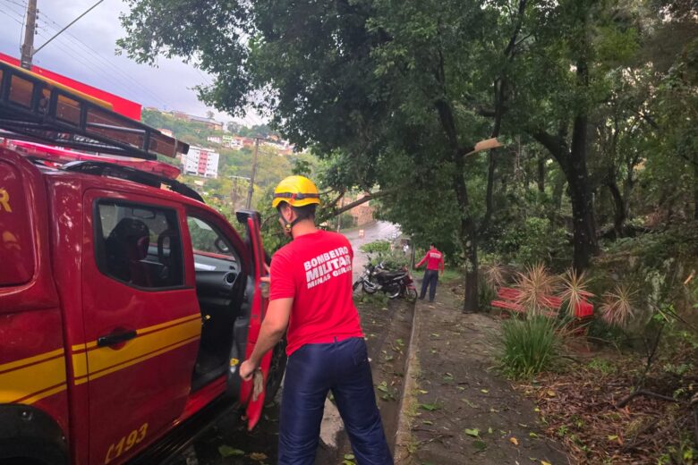 Bombeiros divulgam balanço após temporal em Itabira; queda de árvore sobre rede elétrica gerou risco de incêndio