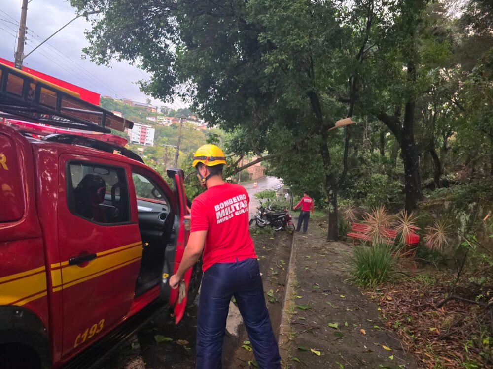 Bombeiros divulgam balanço após temporal em Itabira; queda de árvore sobre rede elétrica gerou risco de incêndio