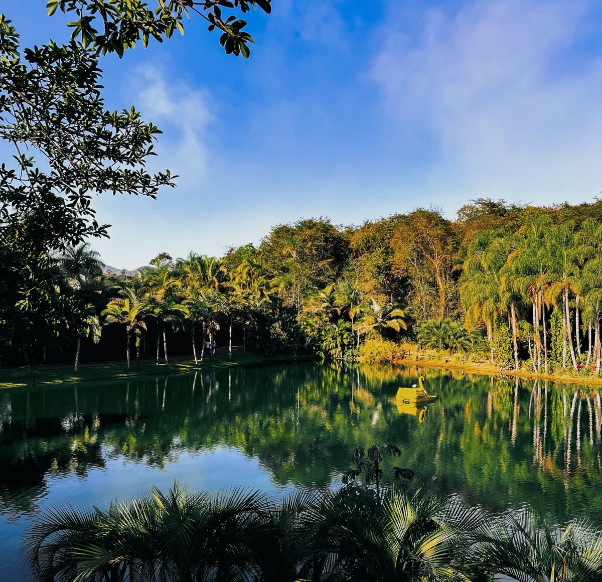 Inhotim celebra 20 anos com novas obras conectando arte, natureza e memória em Minas Gerais