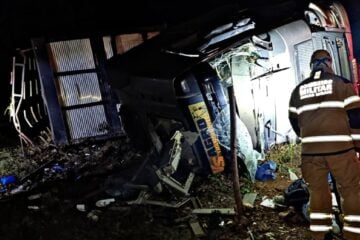 Carreta carregada com bois tomba na BR-381, em João Monlevade, e deixa duas pessoas feridas