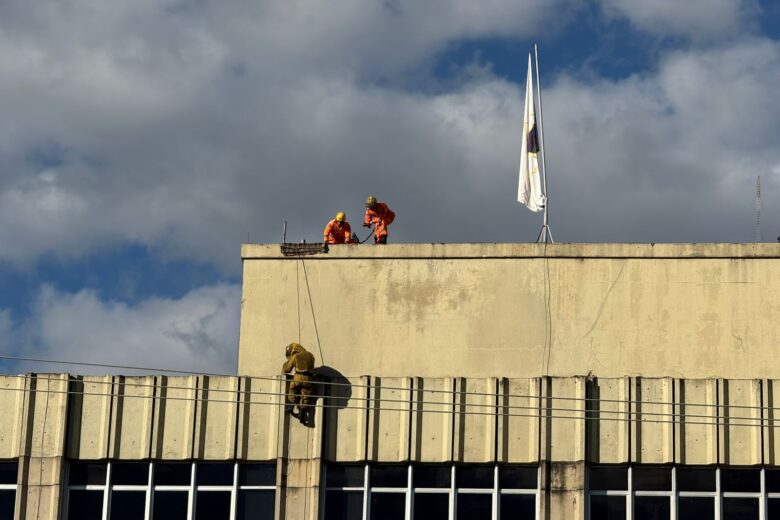Bombeiros usam rapel para eliminar enxame de abelhas na Prefeitura de Itabira