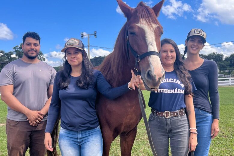 São Gonçalo do Rio Abaixo recebe mais um animal para o setor de equoterapia