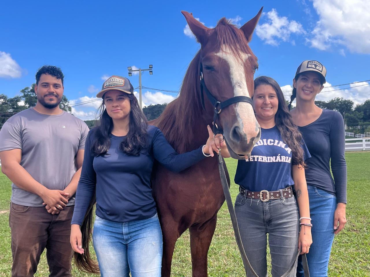 São Gonçalo do Rio Abaixo recebe mais um animal para o setor de equoterapia