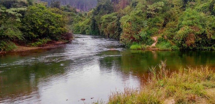 Corpo em estado avançado de decomposição é retirado do Rio Piracicaba em Bela Vista de Minas