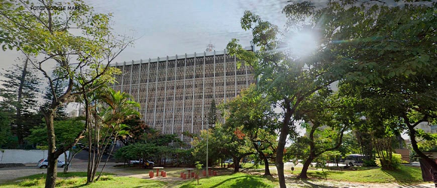 Gata recebe falso diagnóstico de leucemia e clínica de BH terá que indenizar tutora