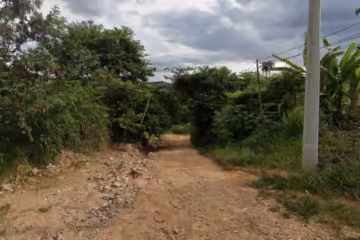 Mãe encontra filho morto em trilha após alerta de vizinhos em BH