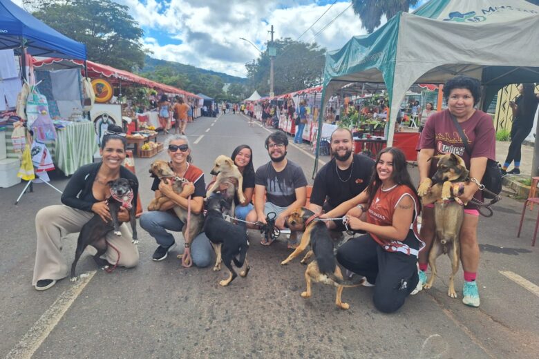 Quatro Patas leva cães resgatados para feira adoção na avenida Mauro Ribeiro