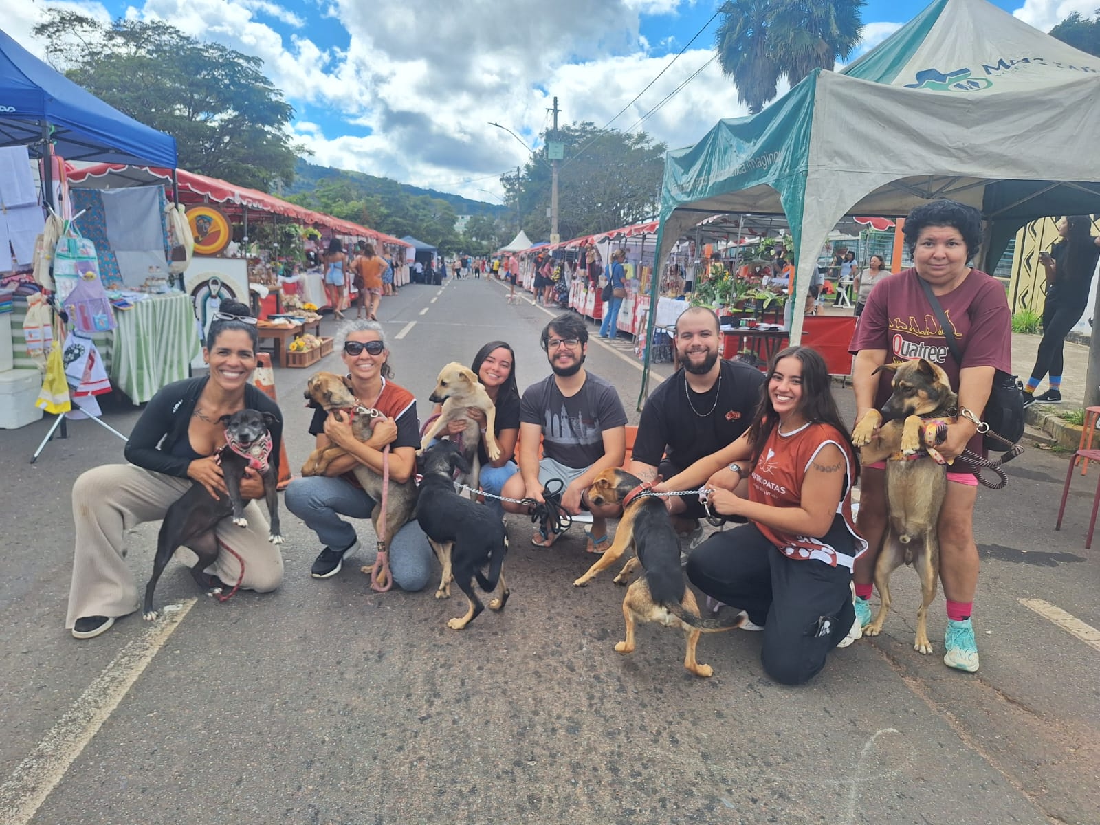 Quatro Patas leva cães resgatados para feira adoção na avenida Mauro Ribeiro