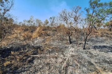 Mudanças climáticas já afetam 85% dos brasileiros, diz pesquisa
