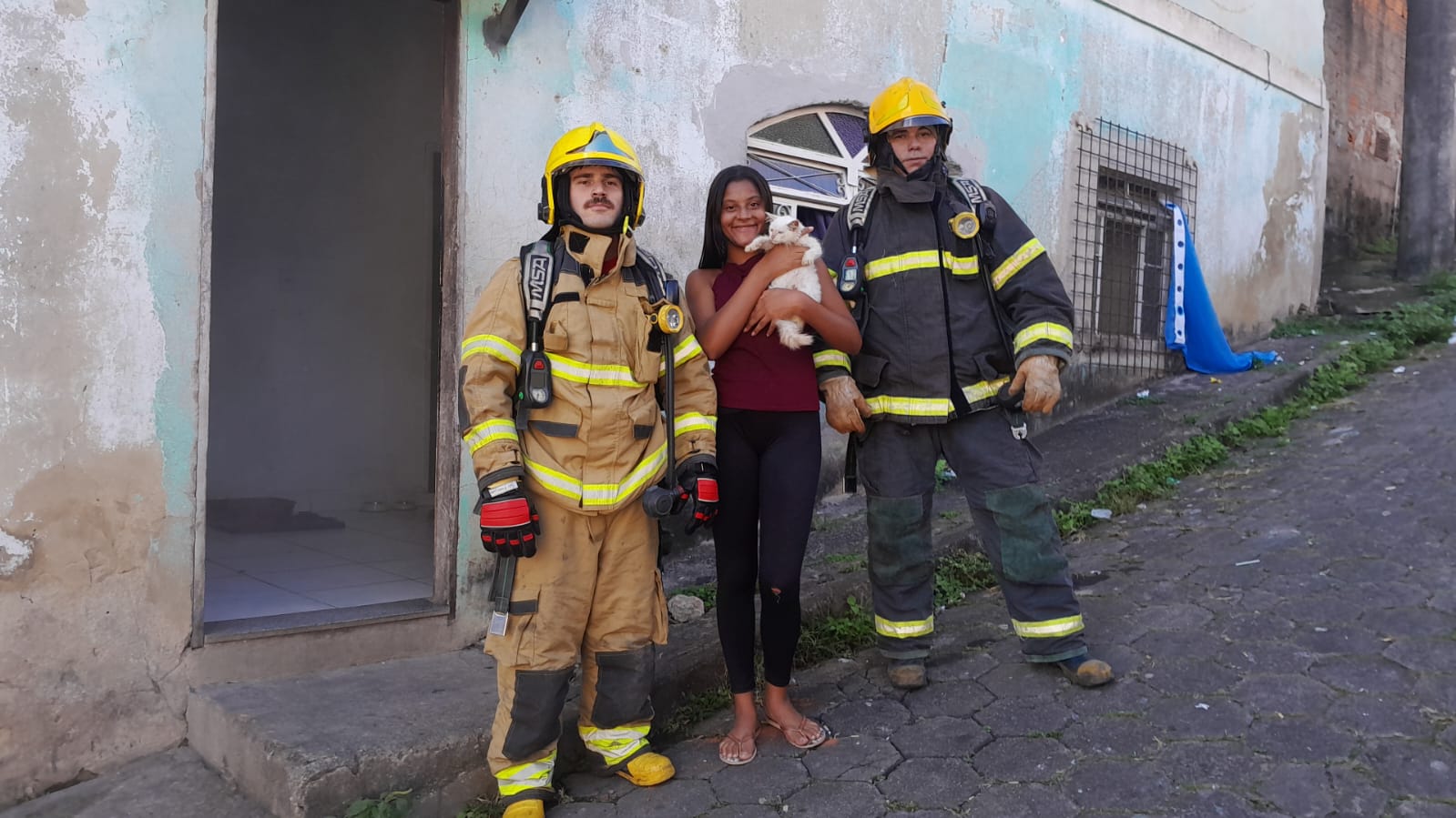 Sete vidas intactas: bombeiros resgatam gatinho durante princípio de incêndio em residência de Itabira