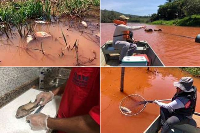 Iniciativa do Ministério Público previne mortandade de peixes no reservatório de Rio de Peixe, em Itabira