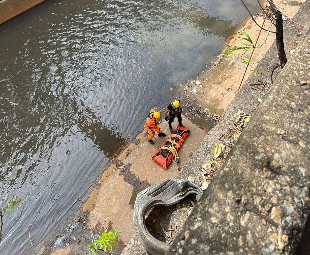 Bombeiros resgatam animal que caiu no rio Arrudas em Belo Horizonte